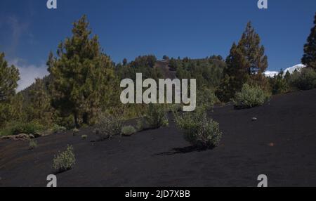 La Palma, paisajes a lo largo de la popular ruta de senderismo de largo alcance Ruta de Los Volcanes, pasando por la cresta de la isla desde El Paso hasta Fuencaliente Foto de stock