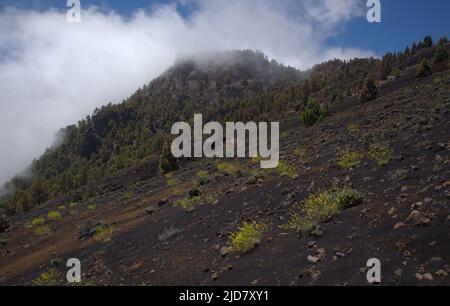 La Palma, paisajes a lo largo de la popular ruta de senderismo de largo alcance Ruta de Los Volcanes, pasando por la cresta de la isla desde El Paso hasta Fuencaliente Foto de stock