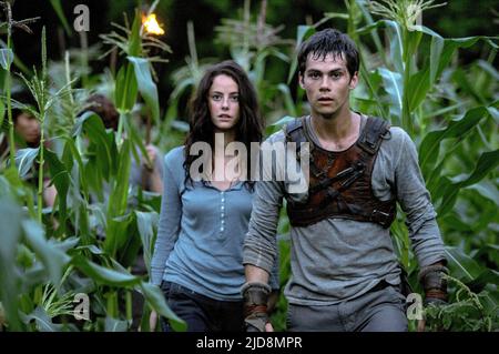 SCODELARIO, O'BRIEN, EL CORREDOR DEL LABERINTO, 2014, Foto de stock