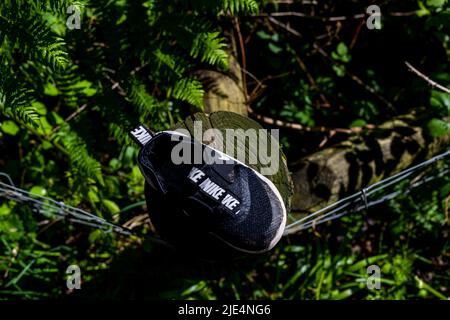 ventilador lazo peine Zapatillas Nike perdidas en un poste de valla. Estanques Cannop, Bosque de  Dean, Gloucestershire Fotografía de stock - Alamy
