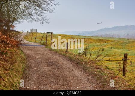 Paisaje de un sinuoso camino de tierra y camino en una remota tierra agrícola y el campo en Alemania. Tranquilo y sereno país carril que conduce a las colinas de Foto de stock