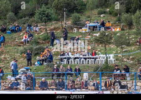 La gente se reúne para hacer un picnic, mientras ve el evento fuera de la arena deportiva al aire libre en el tradicional festival de lucha de camellos en Bodrum, Mugla, Foto de stock