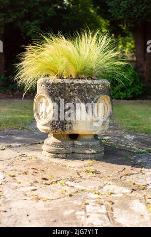 Fuente de piedra tallada con hierbas en un lugar de jardín Foto de stock