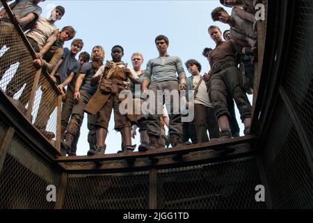 BeckysColourPalettes on X: ✨The Maze Runner (Wes Ball, 2014