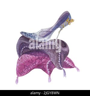 Cenicienta y zapatilla Imágenes recortadas de stock - Alamy