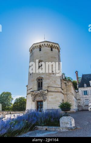 Castillo de Saint-Aignan en Loir y Cher en Francia