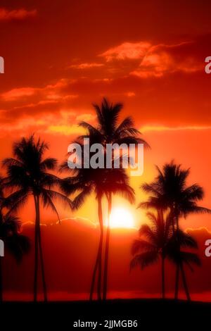 Palmeras de ensueño siluetas puesta de sol cerca del océano playa tropical ubicación Full Moon Foto de stock