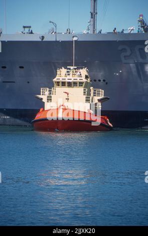 C-TRACTOR 6 Ayudando a atracar el USNS GUADALUPE en el puerto de San Diego Foto de stock