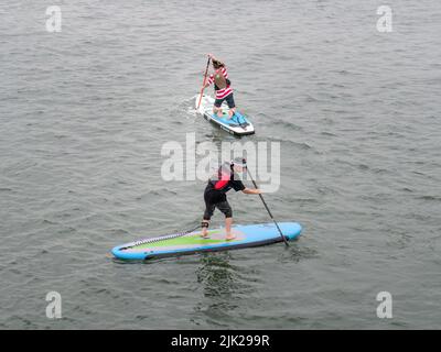 BIDEFORD, DEVON, INGLATERRA - JULIO 24 2022: Paddleboarders en la carrera anual de barcos de cartón del Festival del Agua, River Torridge. Foto de stock