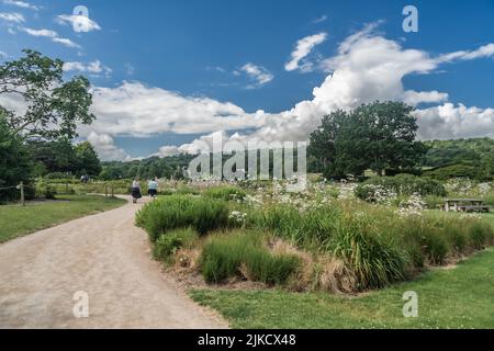 Madre e hijo de Staffordshire Lakeside caminando alrededor de bosques, Stoke-on-Trent Reino Unido.