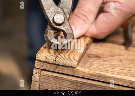 Un primer plano de un clavo que quita de madera con alicates Foto de stock