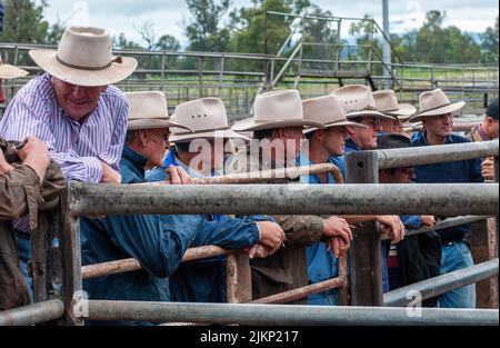 Caballeros que se inclinan sobre los raíles en una subasta de ganado, en los astilleros At the Sale en Gunnedah, Nueva Gales del Sur, Australia Foto de stock