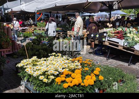 Visitantes delante del mercado Torvehallerne, puestos de mercado con flores y verduras, distrito de Norrebro, Norrebro, Copenhague, Dinamarca Foto de stock