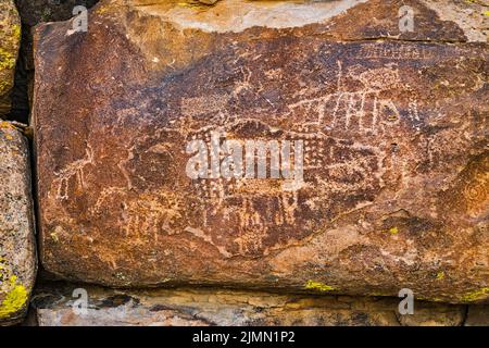 Panel de petroglifos en el afloramiento de Tuff, Distrito Arqueológico Mt Irish, Locus Occidental, Monumento Nacional Basin and Range, Nevada, EE.UU Foto de stock