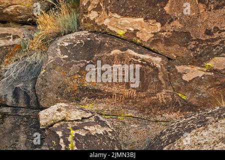 Petroglifos en el afloramiento de tuff, Distrito Arqueológico Mt Irish, Locus Occidental, Monumento Nacional Basin and Range, Nevada, EE.UU Foto de stock
