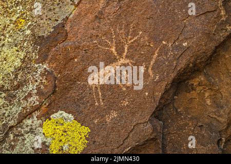 Petroglifos de ciervo en el afloramiento de toba, Distrito Arqueológico Mt Irish, Locus Occidental, Monumento Nacional Basin and Range, Nevada, EE.UU Foto de stock