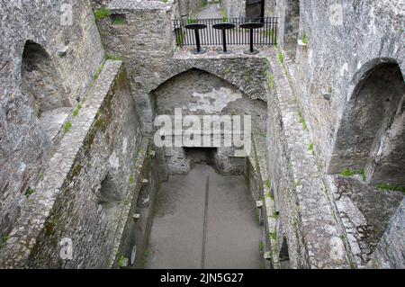 BLARNEY, IRLANDA. 13 DE JUNIO DE 2022. Vista interior del destruido Castillo de Blarney Foto de stock