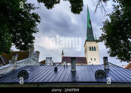 Catedral medieval en tejados bañados de lluvia en Tallinn Estonia. Foto de stock