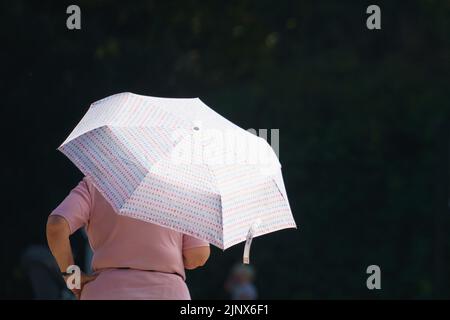 Una mujer se sombra con un paraguas en Greenwich Park, Londres, cuando una sequía ha sido declarada en partes de Inglaterra después del verano más seco desde hace 50 años. Fecha de la foto: Domingo 14 de agosto de 2022. Foto de stock