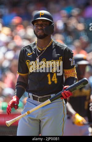 Pittsburgh Pirates Ji-Man Choi (91) bats during a spring training baseball  game against the Baltimore Orioles on March 8, 2023 at Ed Smith Stadium in  Sarasota, Florida. (Mike Janes/Four Seam Images via