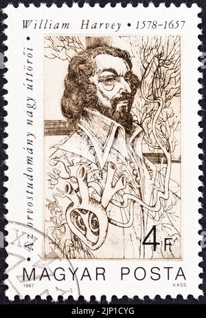 HUNGRÍA - CIRCA 1987: Un sello impreso en Hungría de la edición 'Pioneros de la Medicina' muestra William Harvey (Circulación de la Sangre). Foto de stock