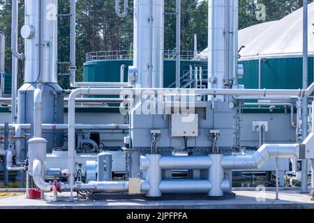Torgelow, Alemania. 16th de Ago de 2022. La planta de biogás en Torgelow. La planta abastecerá a 15.000 habitantes de la ciudad de Torgelow. La planta de la empresa Mele Biogas, que hasta ahora consta de seis tanques de almacenamiento de gas, se ampliará para duplicar su capacidad hacia el otoño de 2023. Según la Asociación Estatal de Mecklemburgo-Pomerania Occidental para la Energía Renovable, aquí se producirá un volumen de energía de más de 100 millones de kilovatios hora al año, que también se introducirá en la red de gas natural. Crédito: Jens Büttner/dpa/Alamy Live News