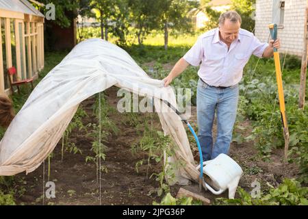 Una pareja de ancianos pone un invernadero en una parcela del jardín Foto de stock