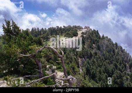 Hermosos pinos que cubren el pico de la montaña a alta altura en Nuevo México con una pequeña cabaña de piedra en la distancia Foto de stock