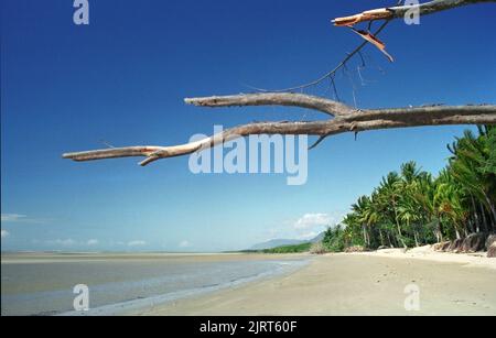 Un hermoso paisaje vacío: Playa Four Mile, Port Douglas, Far North Queensland, Australia Foto de stock