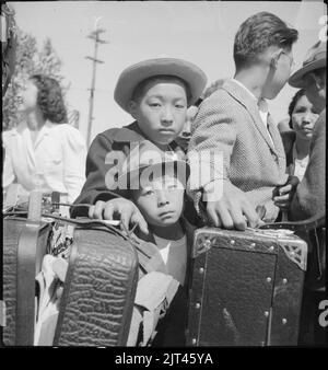 Turlock, California. Estos jóvenes evacuados de ascendencia japonesa están esperando su turno para el equipaje . . . Foto de stock
