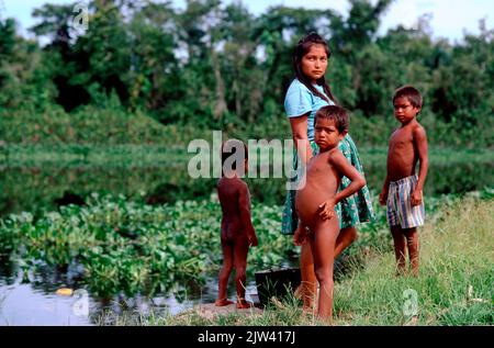 Una familia de indios Warao en el delta del Orinoco. La cuenca del Orinoco está amenazada por la explotación agrícola y minera y el cambio climático. El Ori Foto de stock