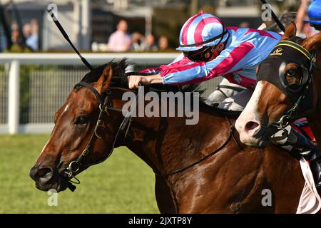 Jockey Mark Zahra monta Enigman (centro) a la victoria en la carrera 9 ...