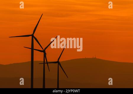 Windraftanlage gegen Sonnenuntergang im Harz Foto de stock