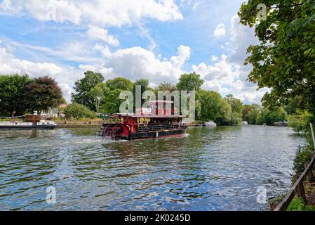 Viaje en barco por el río French Brothers navegando por el río Támesis en Old Windsor en un tranquilo día de verano Berkshire Inglaterra Reino Unido Foto de stock