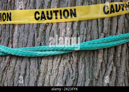 Detroit, Michigan - Una cinta de precaución Una cuerda de escalada rodea un árbol mientras los arboristas profesionales compiten en el Michigan Tree Climbing Championship. Foto de stock