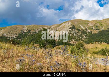 Parque Nacional de Abruzos cerca de Barrea, Lazio y MOLIS, Italia Foto de stock