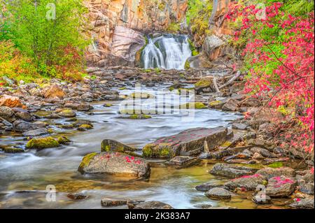 colores otoñales a lo largo del arroyo de pie de proa en las pequeñas montañas cerca de manantiales de azufre blanco, montana Foto de stock