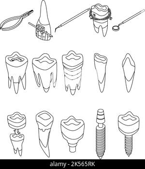 Conjunto de iconos de restauración de dientes. Conjunto isométrico de iconos vectoriales de restauración de dientes contorno aislado sobre fondo blanco Ilustración del Vector