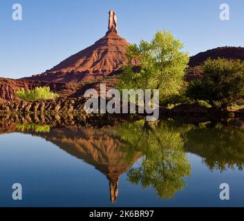 Castle Rock / Castleton Tower Reflejado en un estanque de riego al amanecer en Castle Valley, cerca de Moab, Utah. Foto de stock