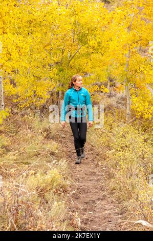 Mujer soltera haciendo senderismo por Aspens Trees en City of Rock State Park, Idaho. Foto de stock
