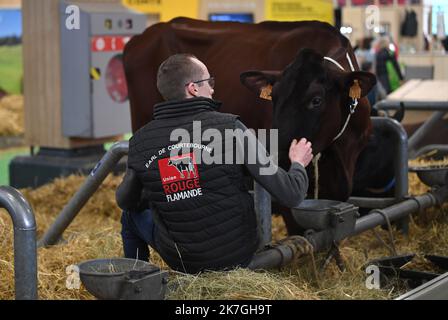 ©PHOTOPQR/VOIX DU NORD/FLORENT MOREAU ; 01/03/2022 ; PARES, LE 01.03.