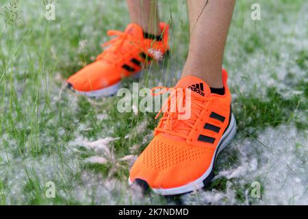 Adidas Fotografía de stock Alamy