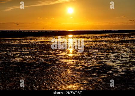 Puesta de sol de oro en el mar de Wadden de Baja Sajonia frente a Dorum-Neufeld en marea baja, Alemania Foto de stock