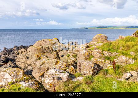 Liquen en rocas en la bahía de Machrihanish en la península de Kintyre, Argyll y Bute, Escocia Reino Unido - Observe el sello transportado.
