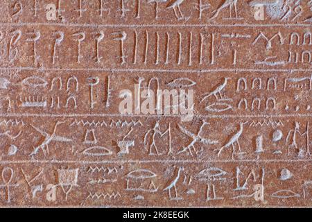 Jeroglíficos egipcios en la pared. Jeroglíficos egipcios antiguos. Foto de stock