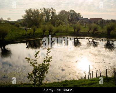 Una vista de un lago, durante las temperaturas de primavera en los Países Bajos, el 28th de abril de 2021. (Foto de Romy Arroyo Fernandez/NurPhoto) Foto de stock
