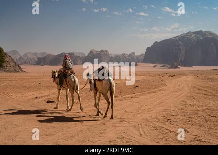 Beduinos árabes montando un camello dromedario en Wadi Rum, Jordania Foto de stock