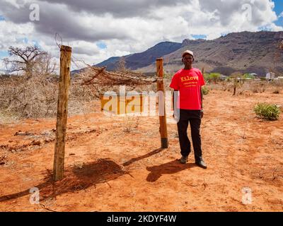 Un granjero inspeccionando su cerca de colmena diseñada para disuadir a los elefantes de asaltar sus cultivos en la región de Sagalla en Kenia Foto de stock
