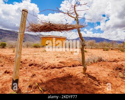 Una cerca de colmena diseñada para disuadir a los elefantes de asaltar cultivos en la región de Sagalla en Kenia Foto de stock