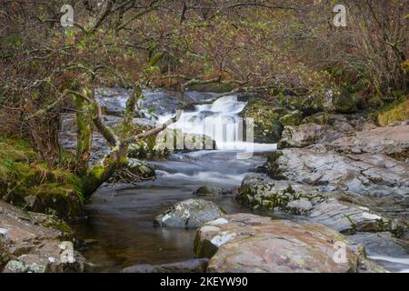 Cascada de alta fuerza de Aira cerca de Ullswater en el Distrito de los Lagos, Cumbria. Foto de stock